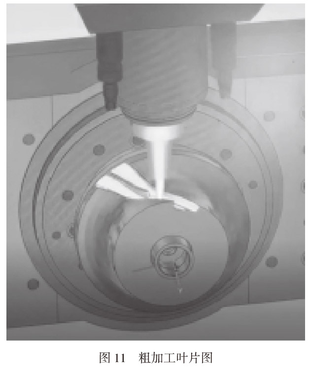 1661845898317316.jpg t11.jpg