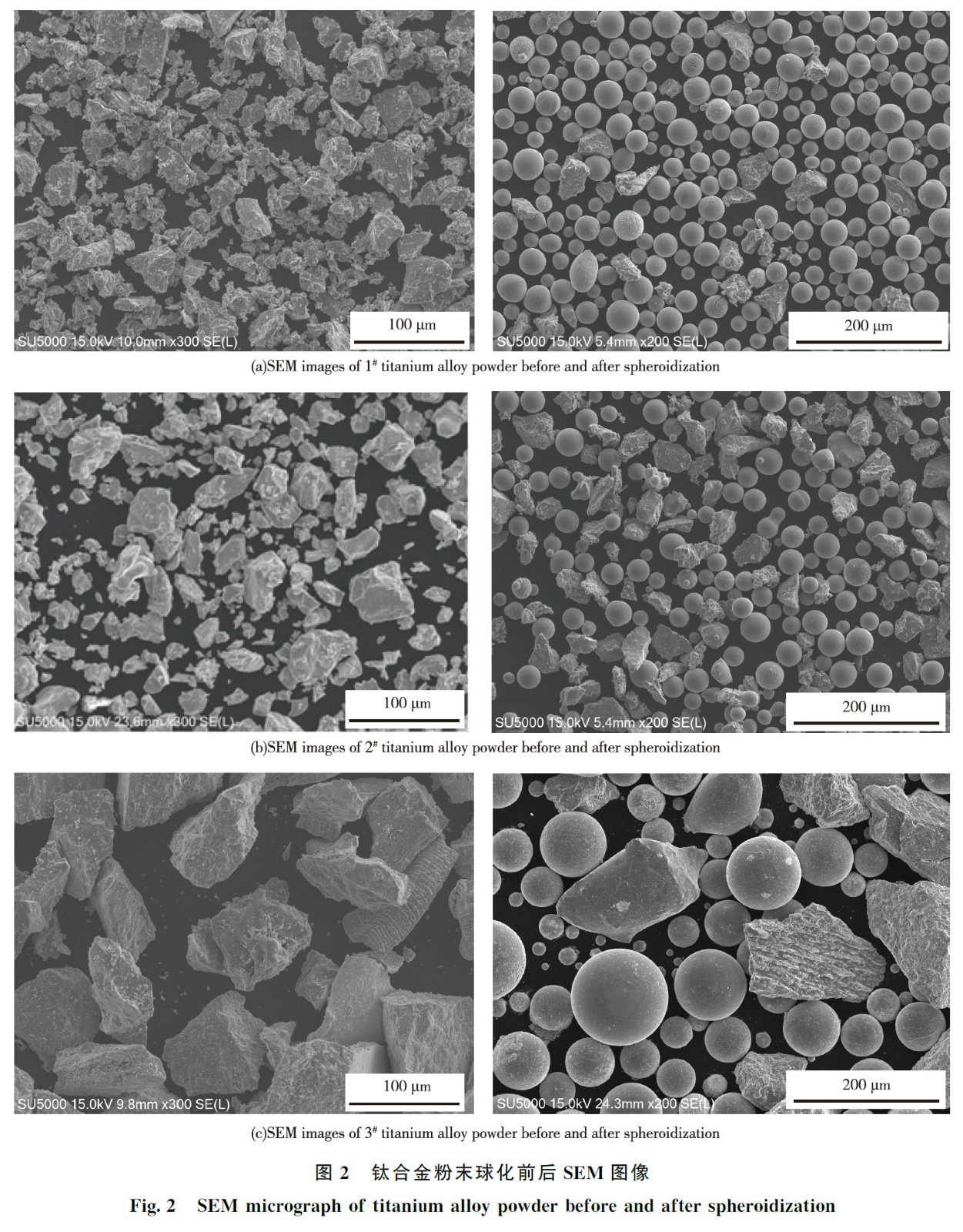 1668870855767463.jpg lt2.jpg