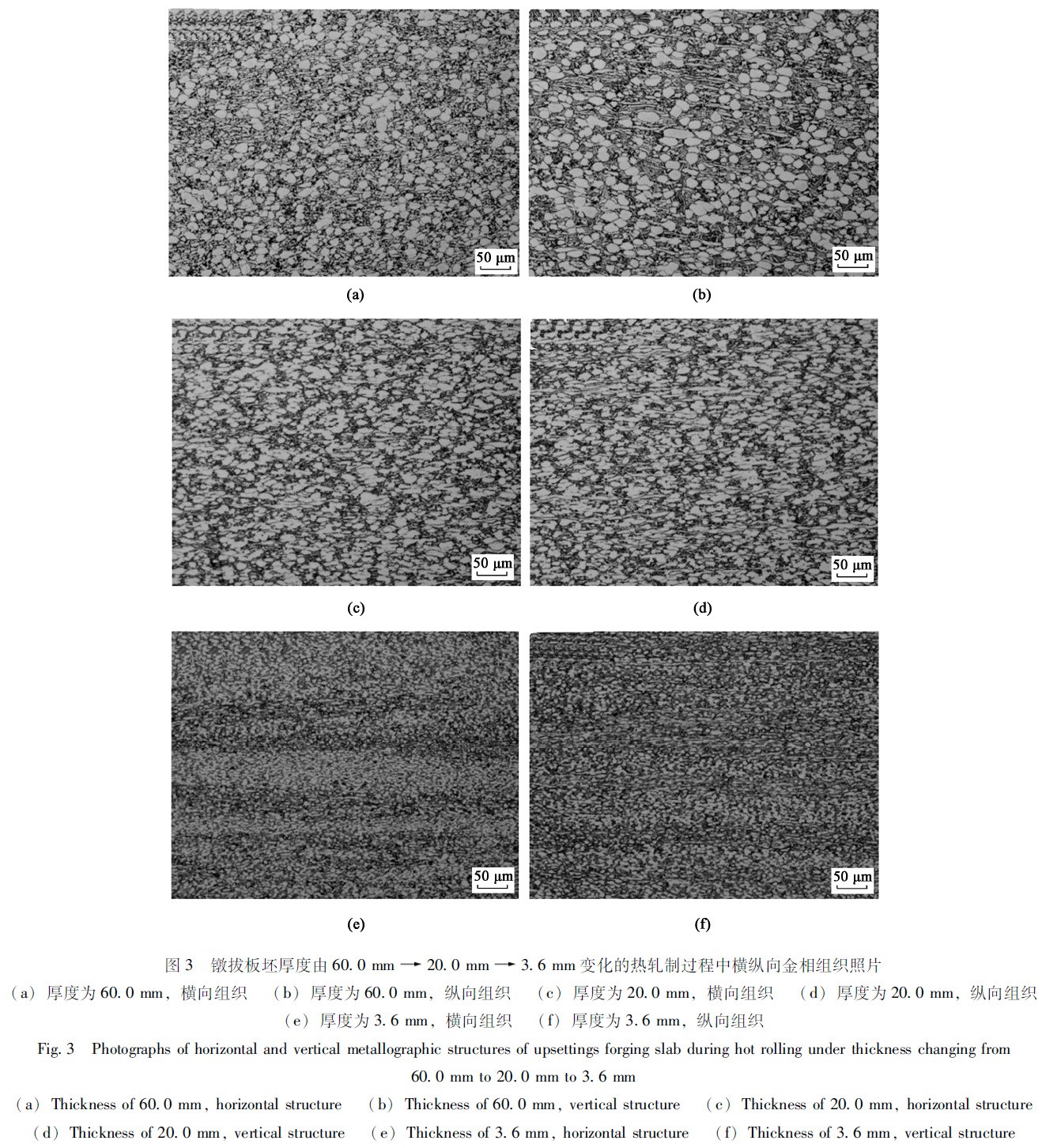 1672134784780807.jpg t3.jpg