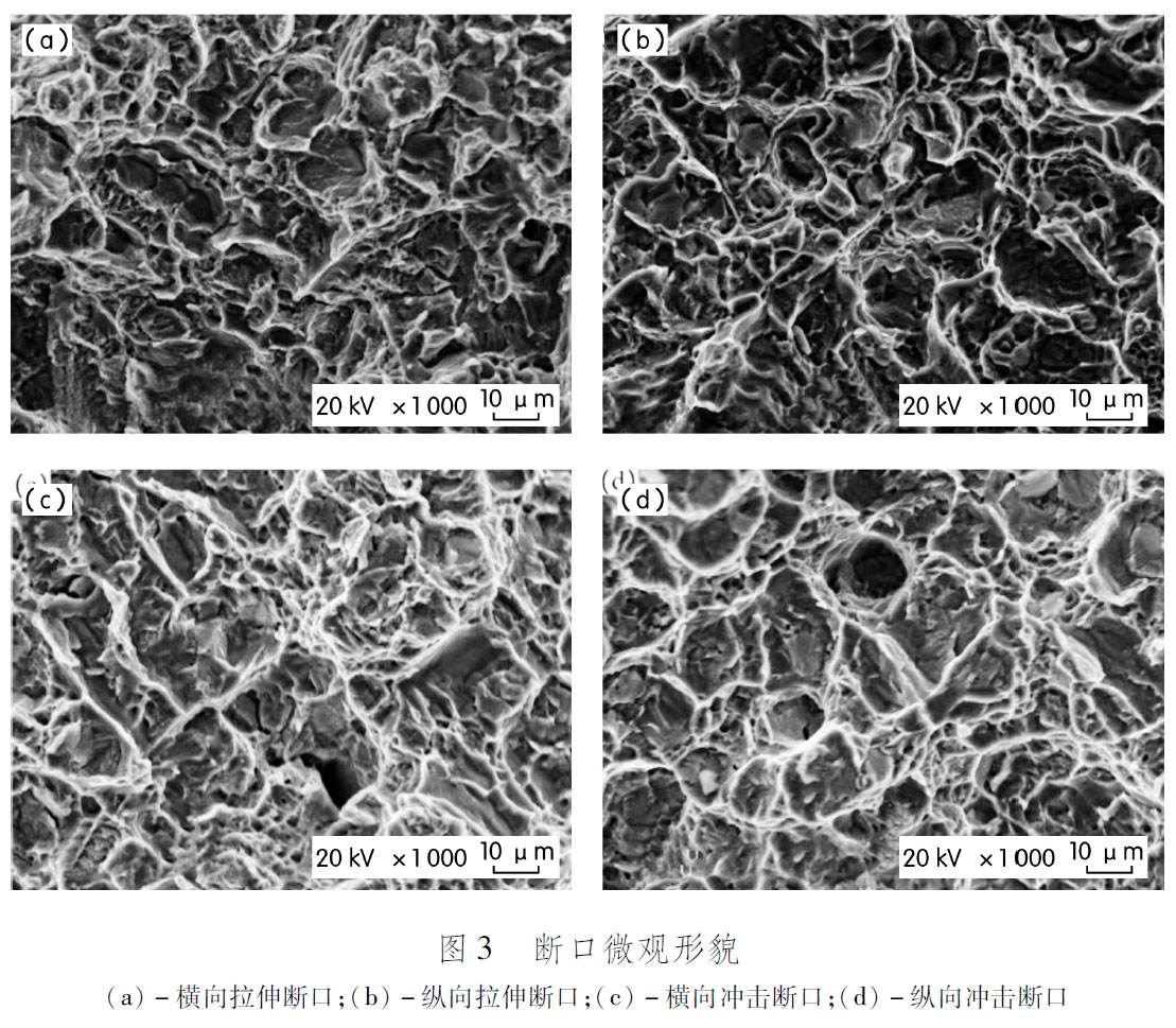 1681547837578189.jpg t3.jpg