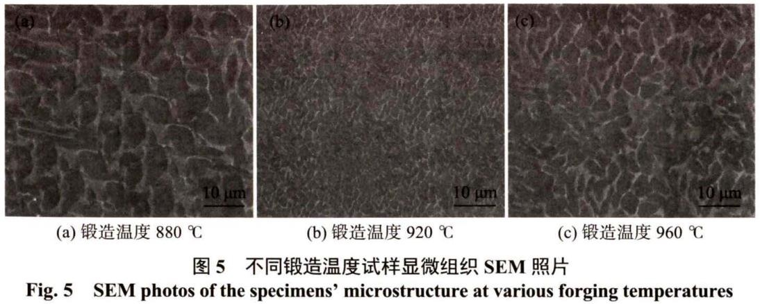 1686300746823756.jpg t5.jpg