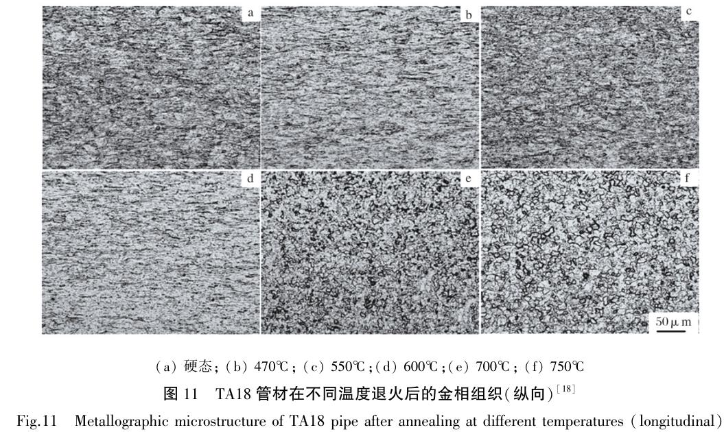 1686737385506383.jpg t11.jpg