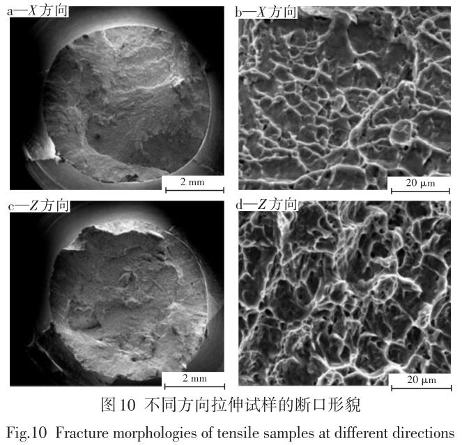 1694436866515317.jpg t10.jpg