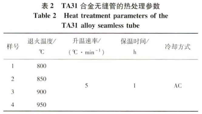 1695806524506904.jpg b2.jpg