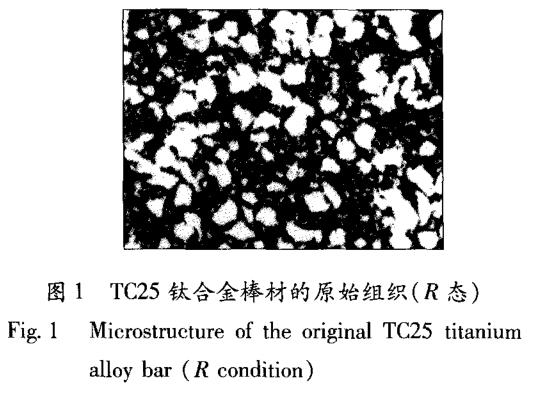 1696458827157244.jpg t1.jpg