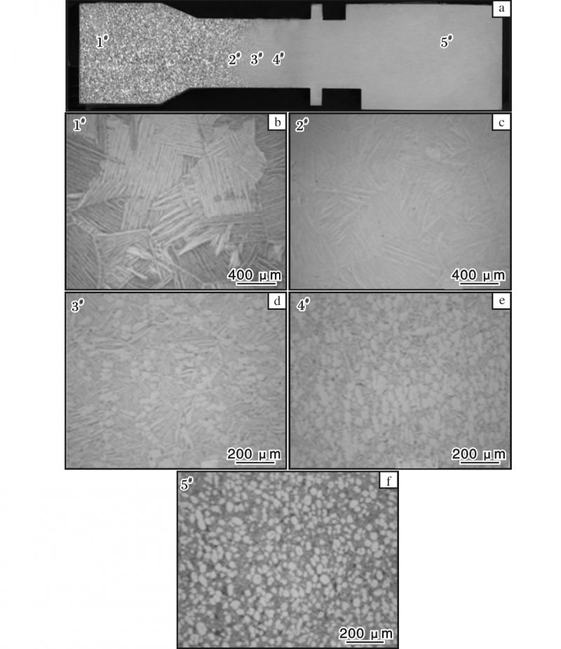 1697976454363478.jpg 8.jpg