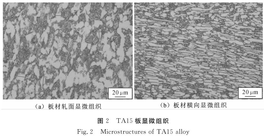 1697980281442349.jpg t2.jpg