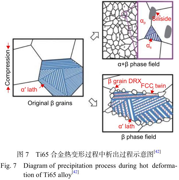 1699618250920424.jpg t7.jpg