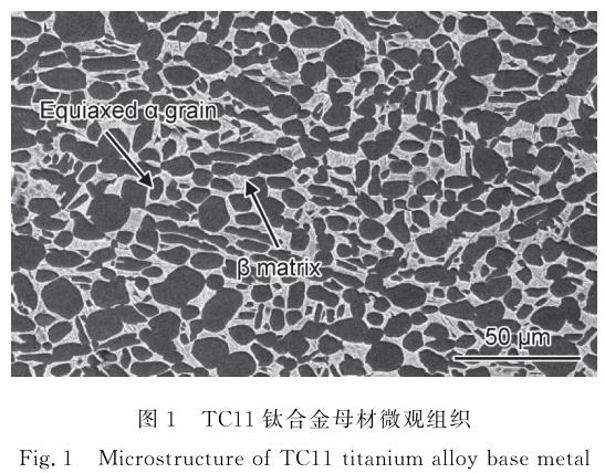 1700650279619899.jpg t1.jpg