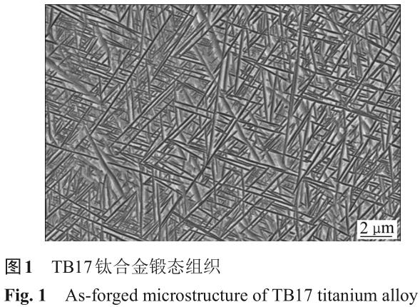 1701442152571140.jpg t1.jpg