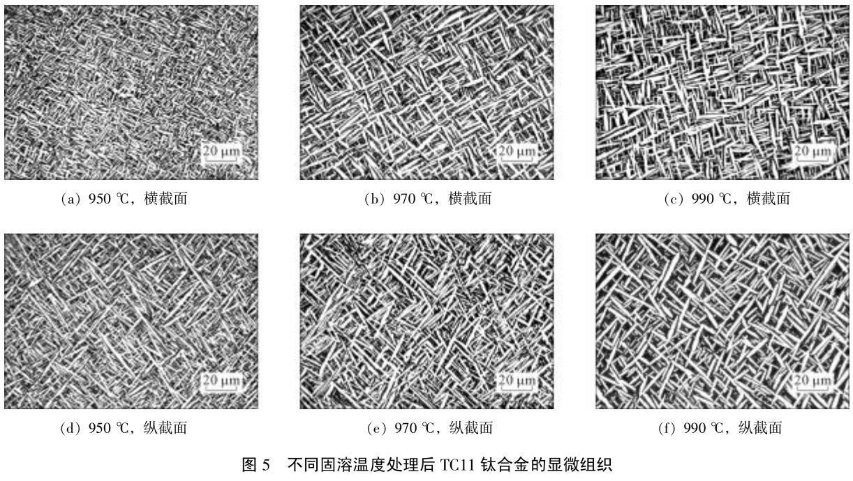 1701660576397132.jpg t5.jpg