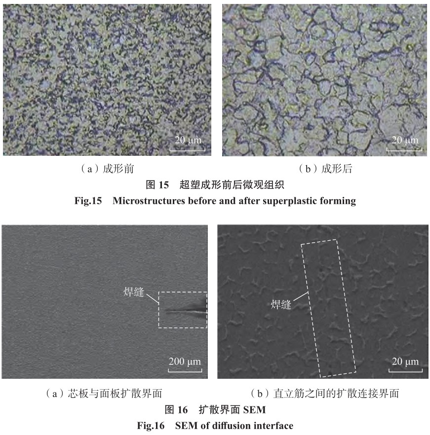 1702020284808563.jpg t15-16.jpg