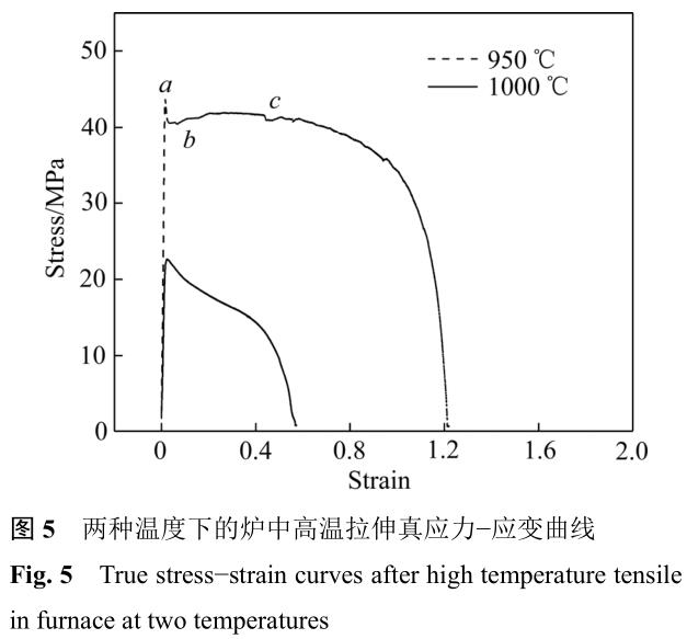 1705735521852021.jpg t5.jpg