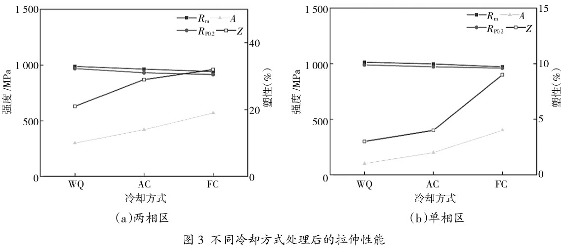 1707985106792686.jpg t3.jpg