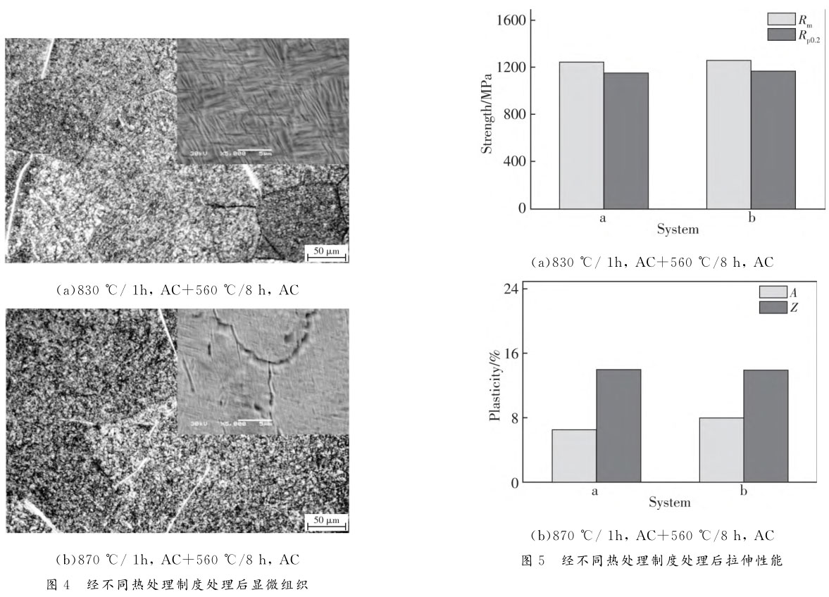 1707988597938531.jpg t4-5.jpg