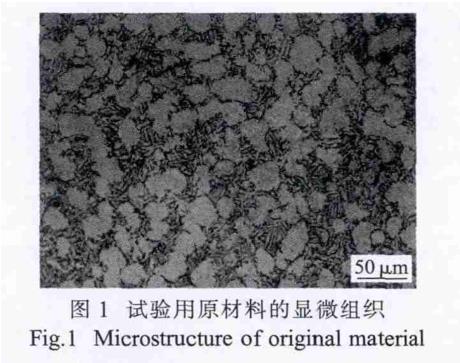 1708436974394436.jpg t1.jpg