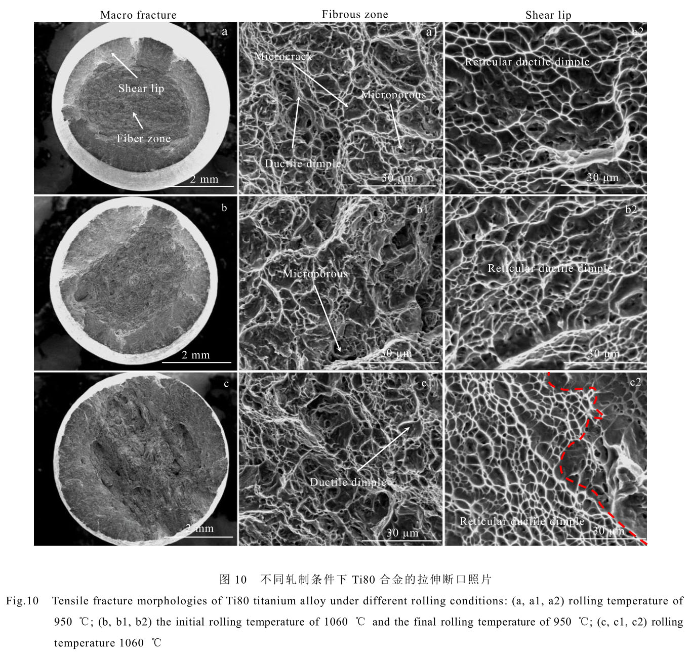 1708442338741920.jpg t10.jpg