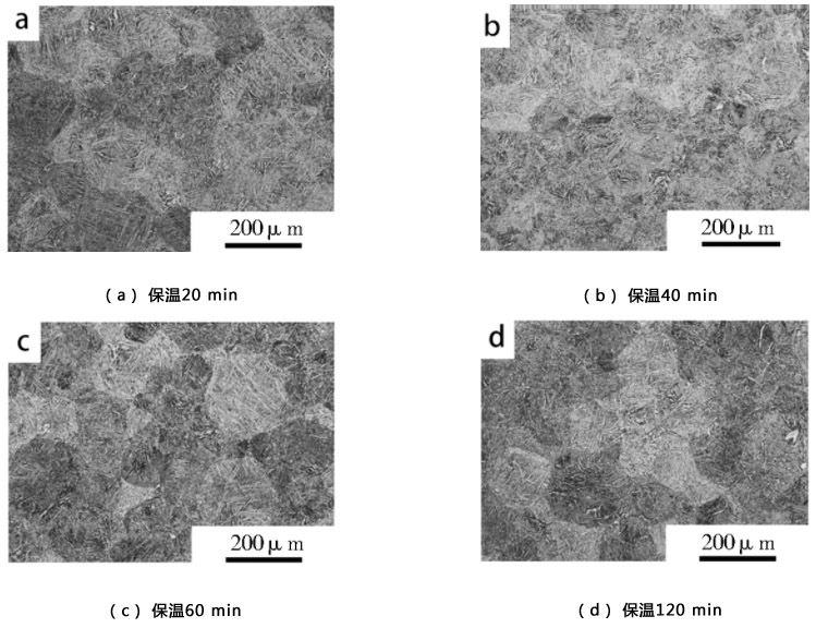 1712891727546801.jpg 3.jpg