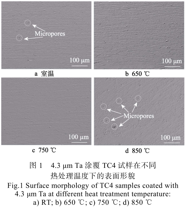 1715508132138044.jpg t1.jpg