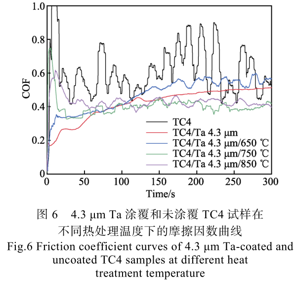 1715508184759000.jpg t6.jpg