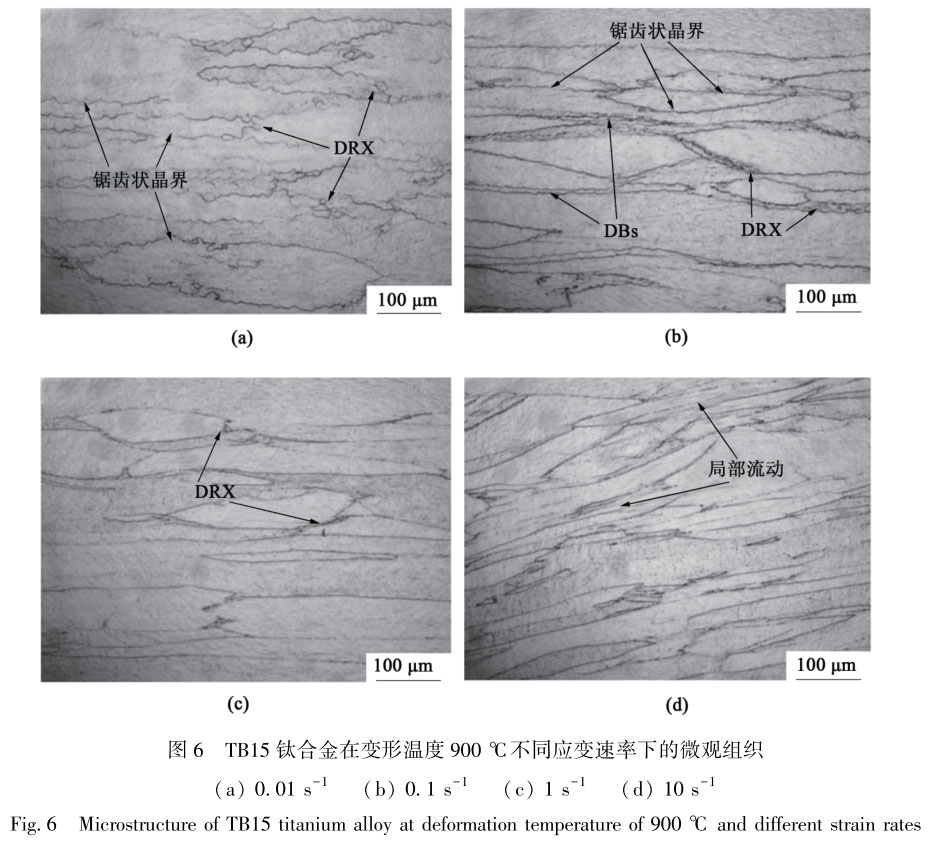 1718028433963189.jpg t6.jpg