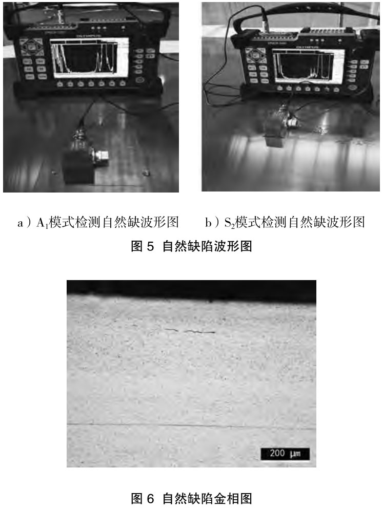 1718031782116708.jpg t5-6.jpg