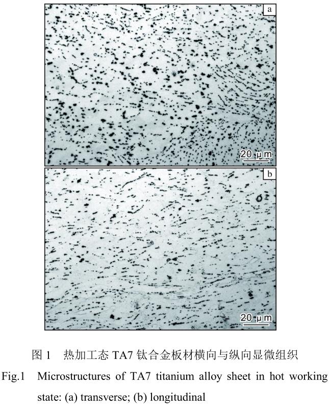 1720145061750508.jpg 360截圖16380510384637.jpg