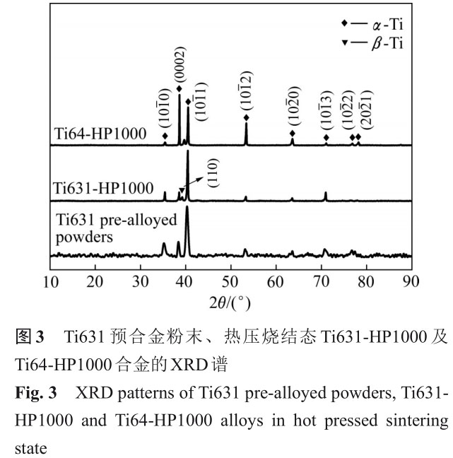 1723726188271363.jpg t3.jpg