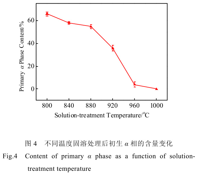 1726732850593067.jpg t4.jpg