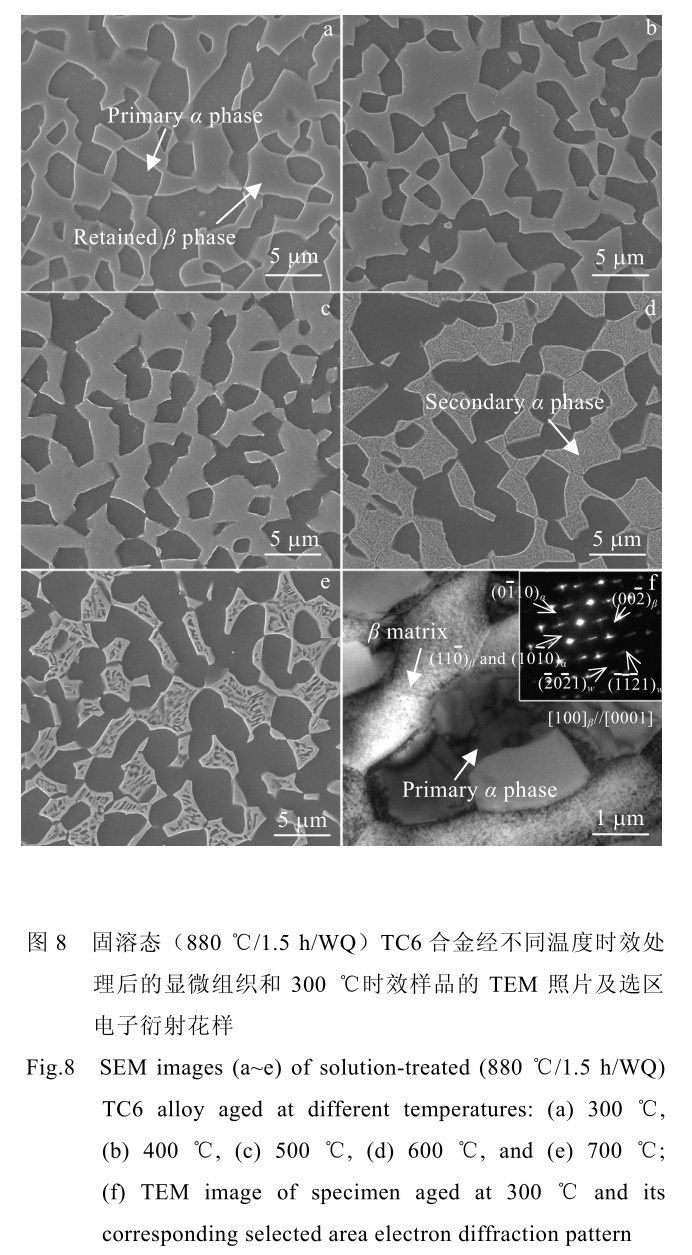 1726732884961338.jpg t8.jpg