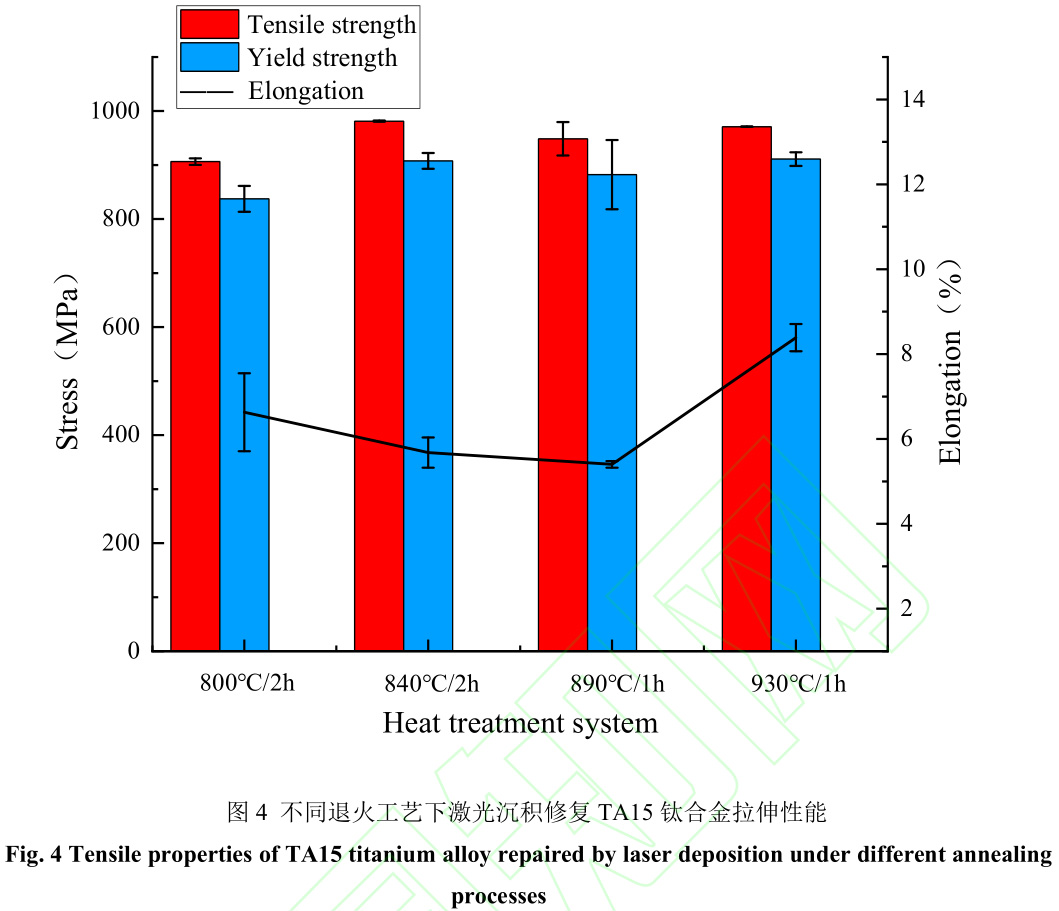 1729343036579281.jpg 4.jpg