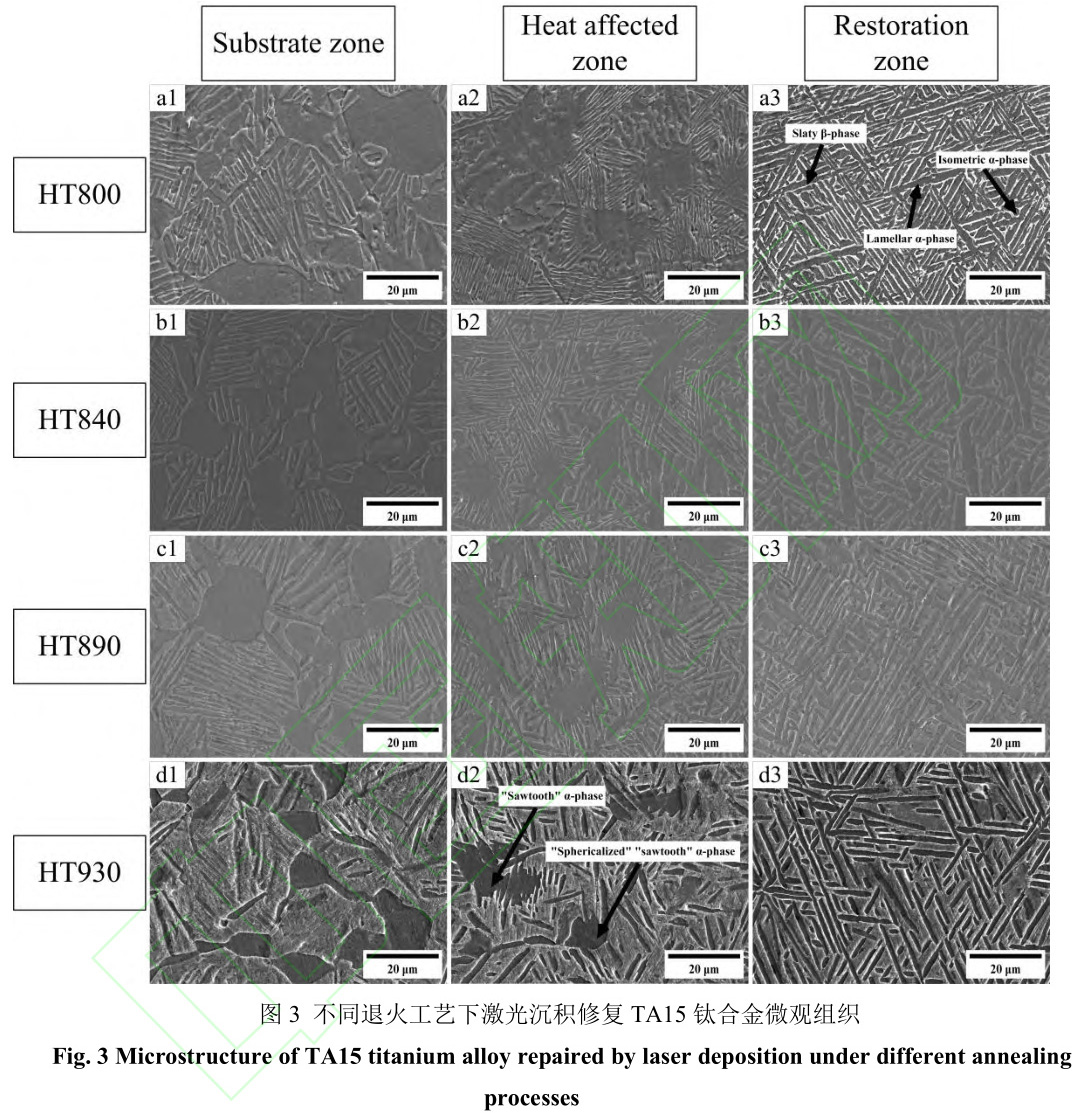 1729343103630216.jpg 3.jpg