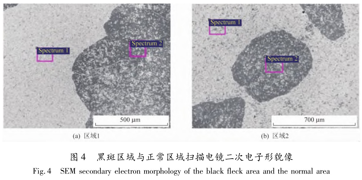 1730259040778951.jpg 4.jpg