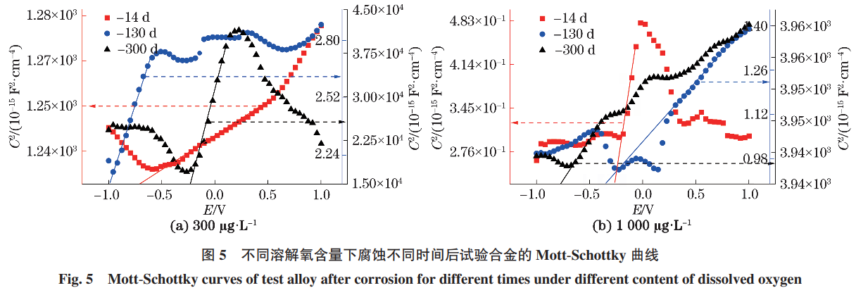 1733039458785466.png 5.png