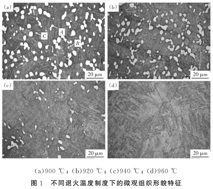 1733105525558917.jpg 1.jpg