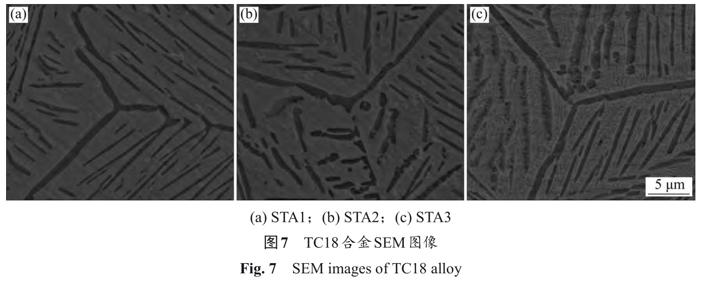 1733109364662021.jpg 7.jpg