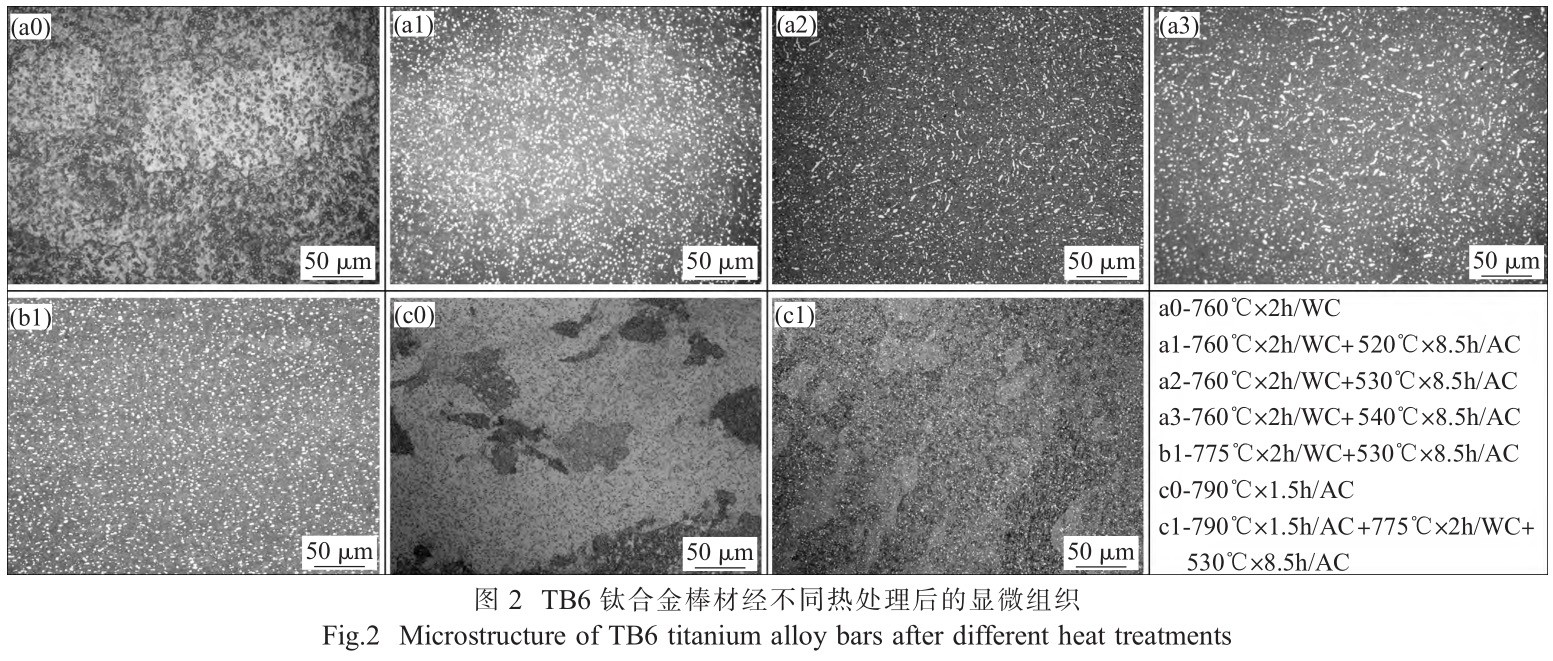 1733644571725074.jpg t2.jpg