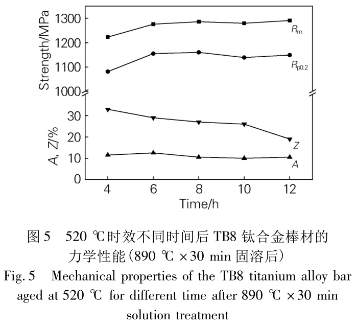 1733646283659695.jpg t5.jpg