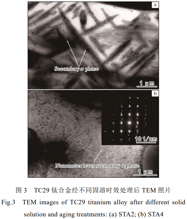 1736066952368887.png 3.png