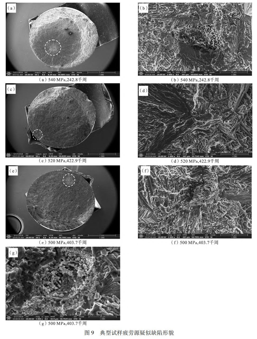 1739631104369971.jpg 9.jpg