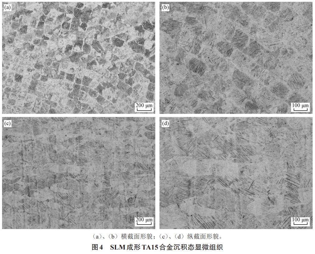 1739676573771298.jpg 4.jpg