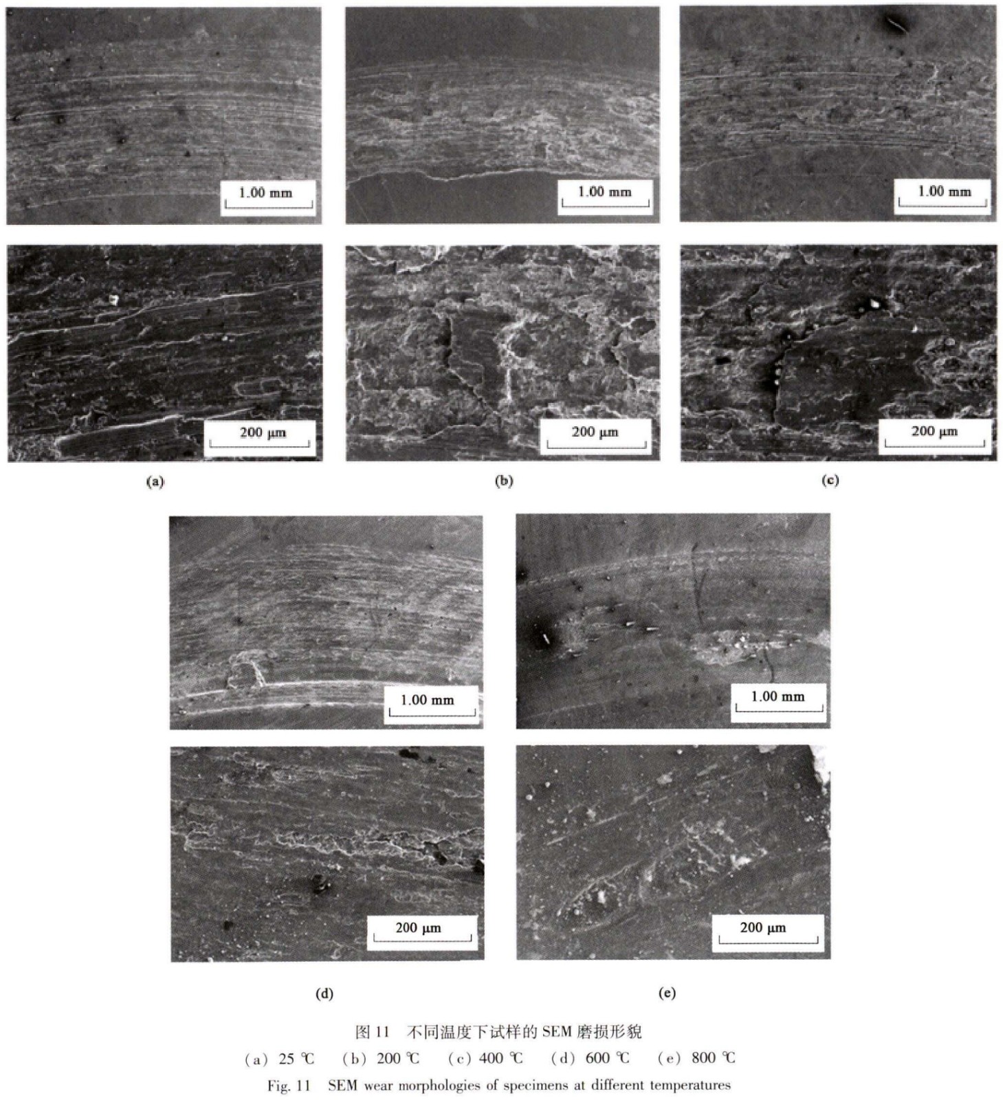 1747212822654771.jpg 11.jpg