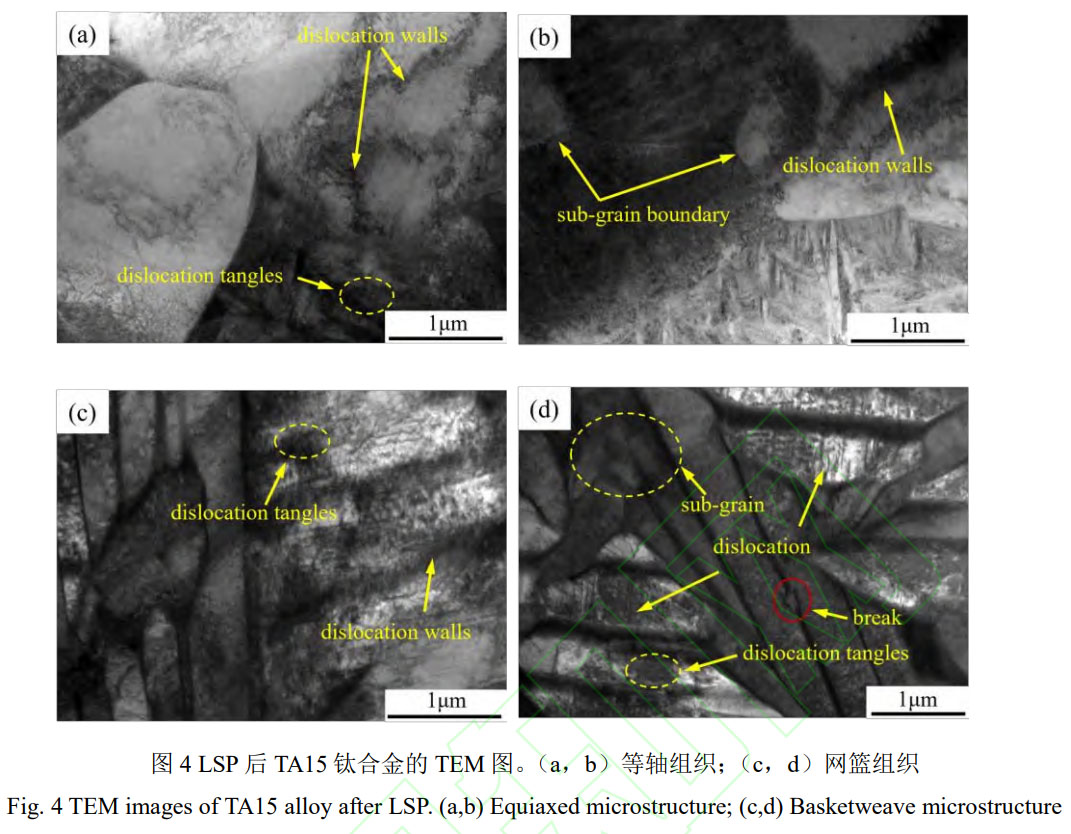 1756392516461658.jpg 未標(biāo)題-4.jpg