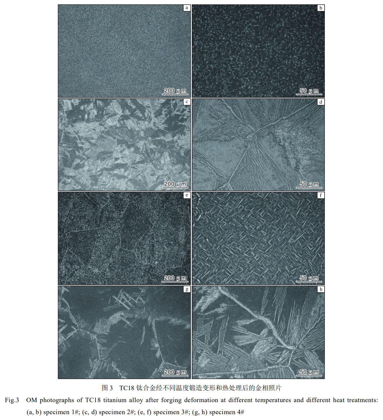 1758077213199680.jpg 未標(biāo)題-2.jpg