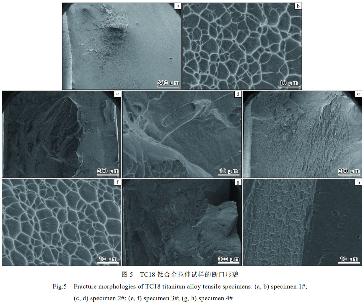1758077235789409.jpg 未標(biāo)題-3.jpg
