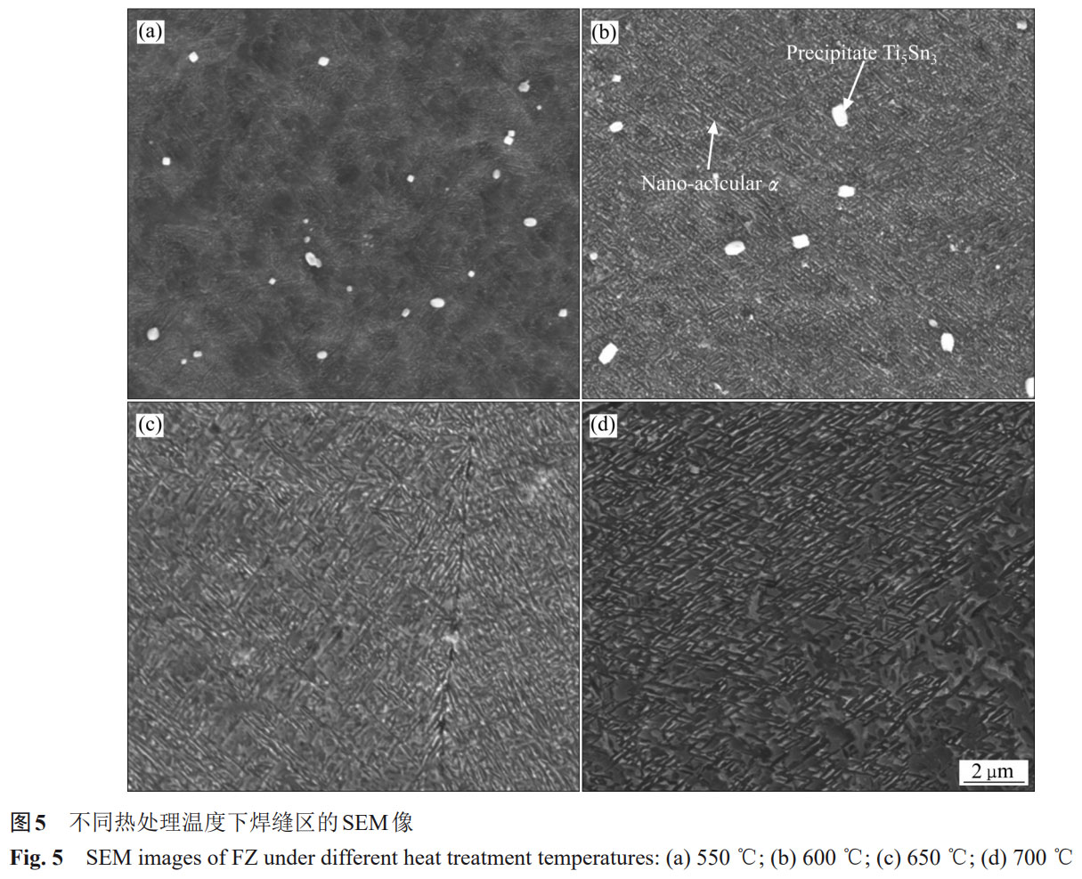 1759828690620117.jpg 未標題-1.jpg