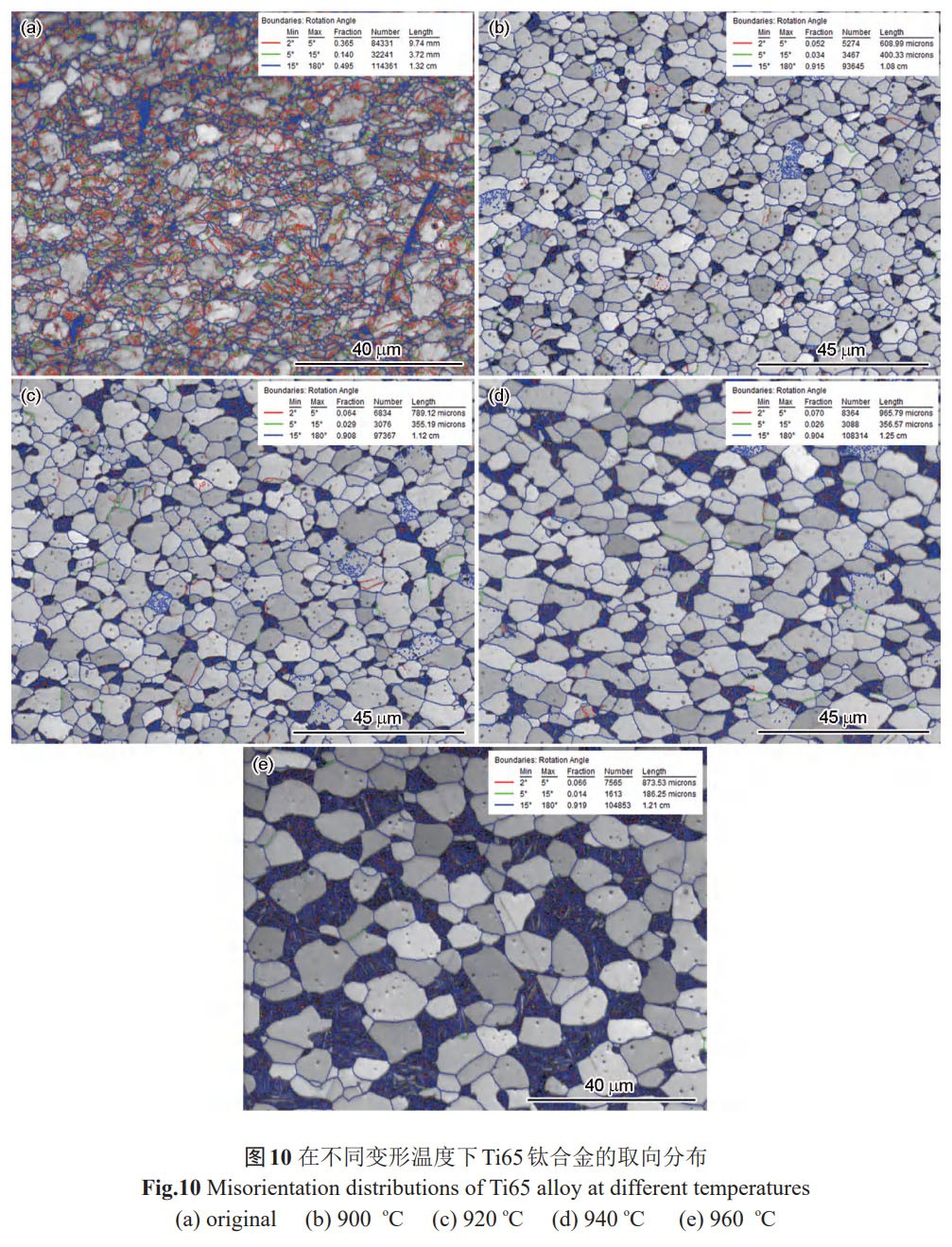 1761011498738520.jpg t10.jpg