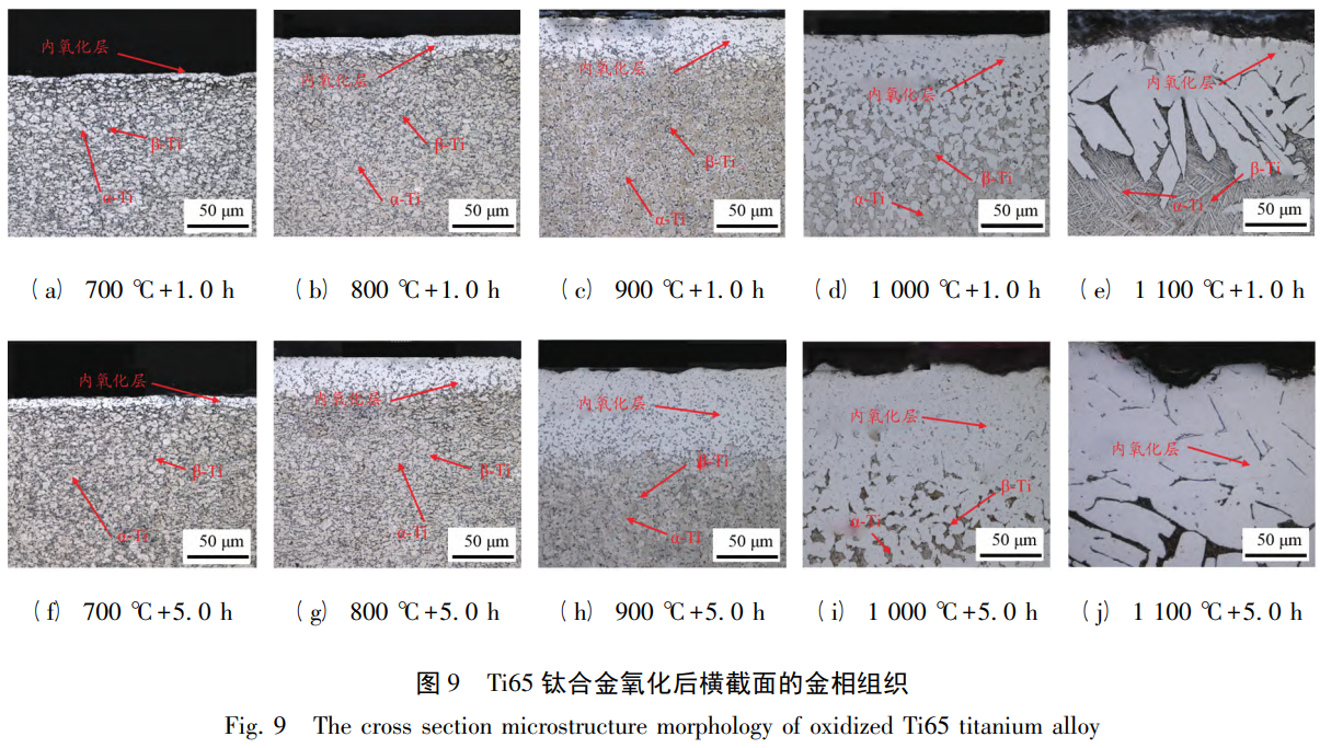 1762333720530642.png 截圖20251105165951.png