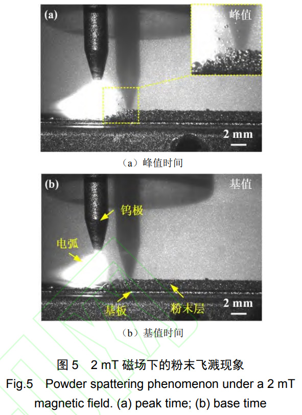 1764040982761617.jpg 5.jpg