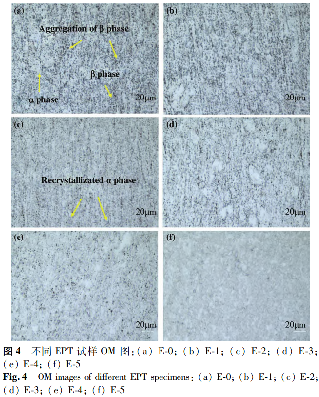 1765535894930744.png 截圖20251212183641.png